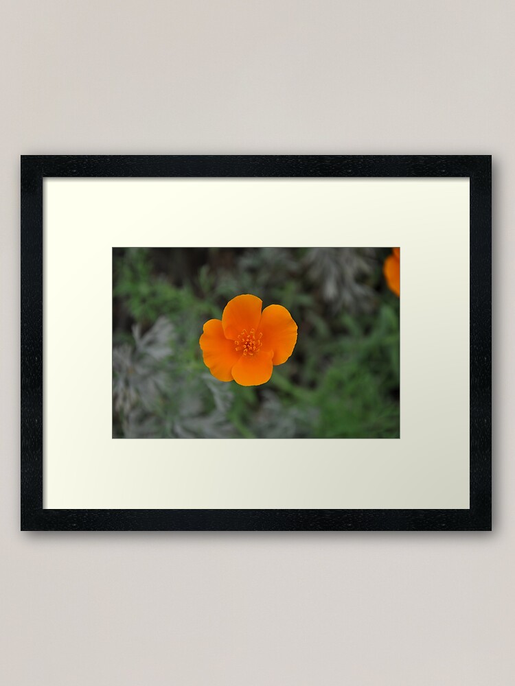 Alternate view of Flower power Framed Art Print