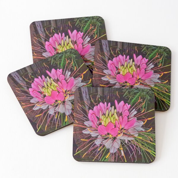 Item preview, Weird Rare Flower designed and sold by Luxxe87.