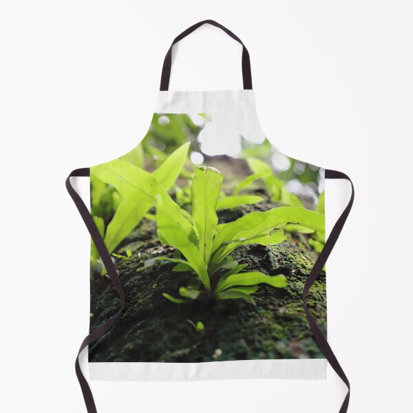 Item preview, Texture of moss covered old tree trunk and new leaves growing on it designed and sold by FCEalin.