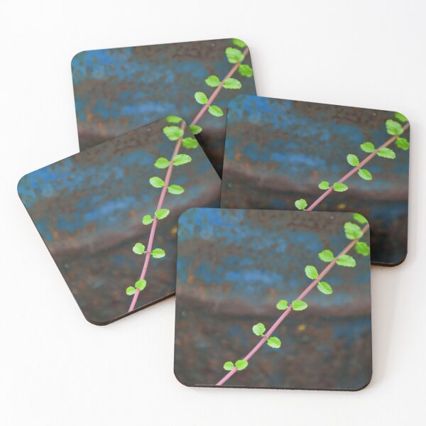 Item preview, A fresh new mint brunch in front of a rusty old background creating a beautiful abstract scene  designed and sold by FCEalin.