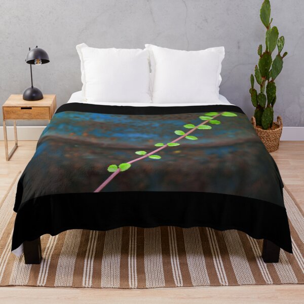 Item preview, A fresh new mint brunch in front of a rusty old background creating a beautiful abstract scene designed and sold by FCEalin.