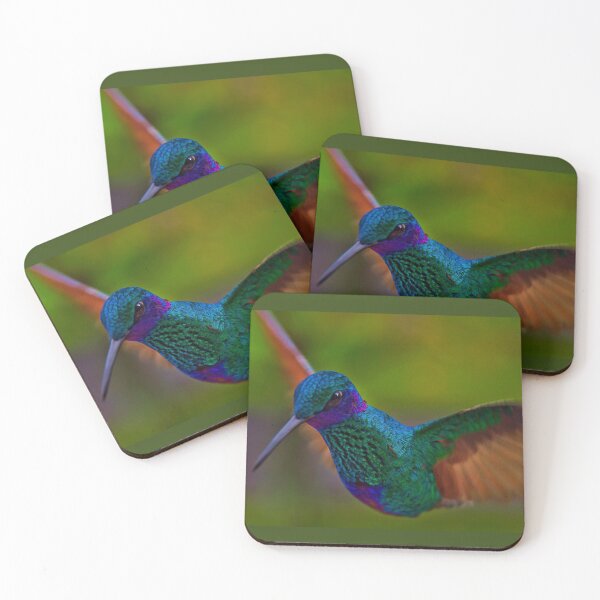 Item preview, The Hummingbird I Call Tom Thumb designed and sold by alabca.