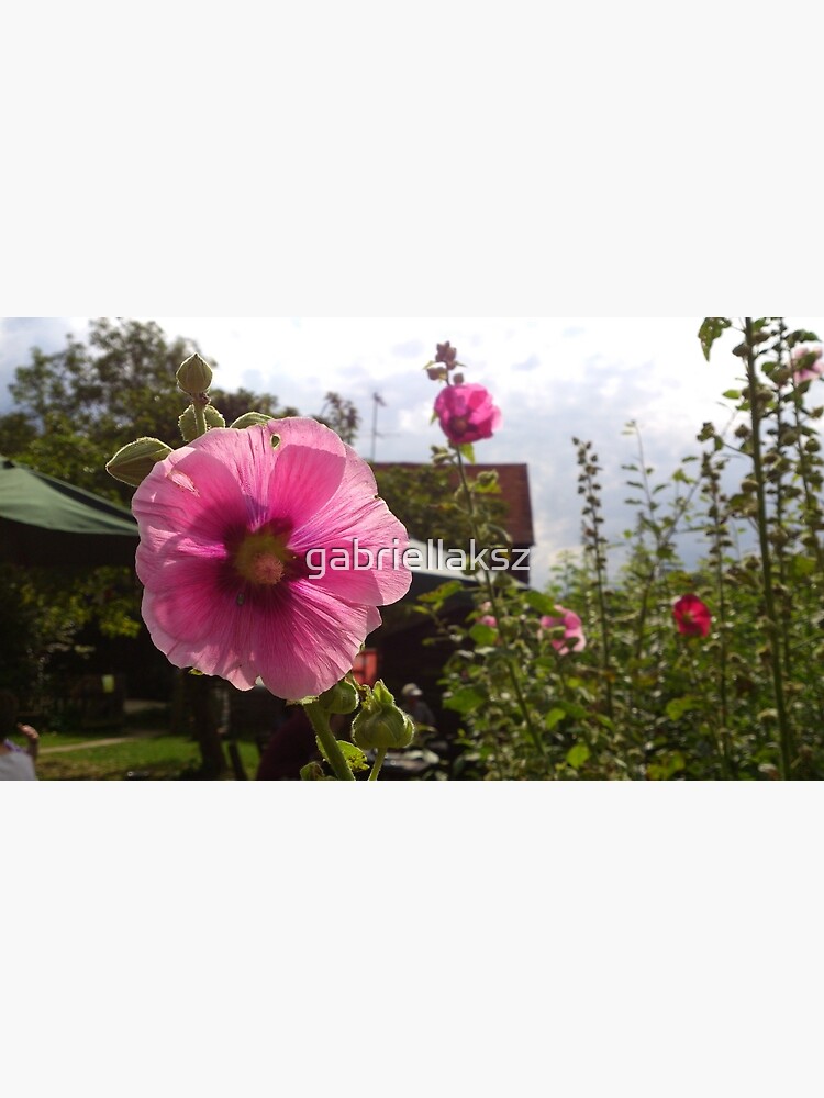 Pink flower power by gabriellaksz