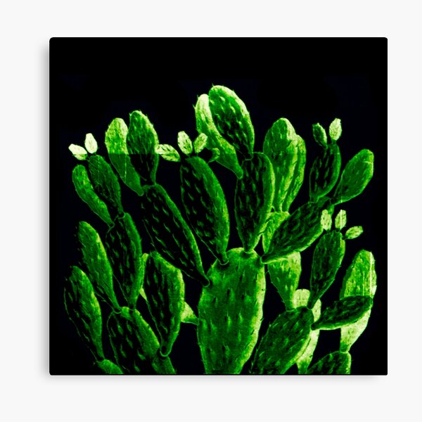 bright cactus Canvas Print