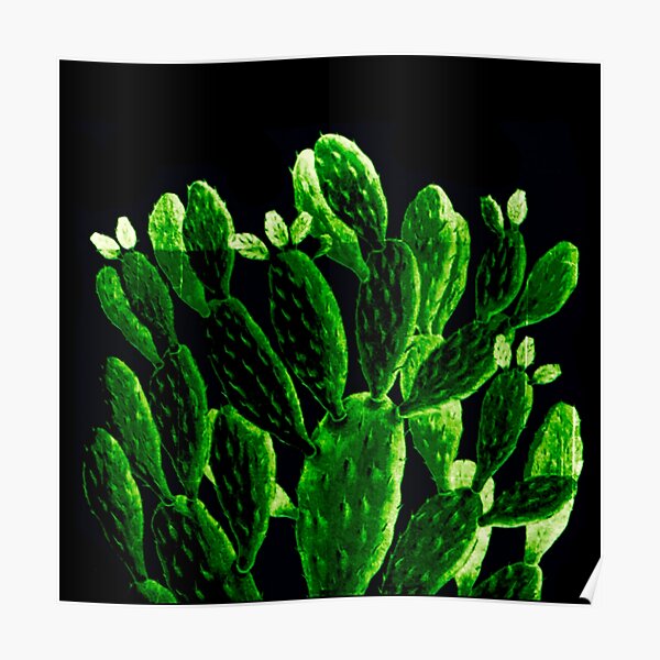 bright cactus Poster