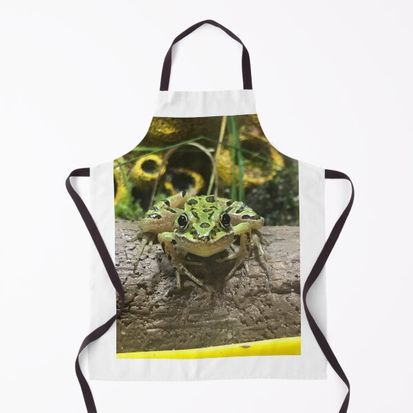Item preview, Smiling frog  designed and sold by vilipen.