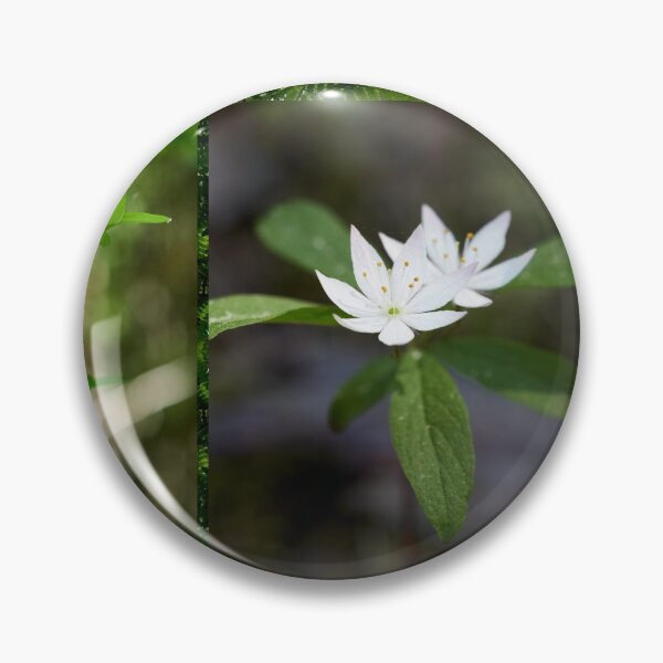 Item preview, Flowers on fern designed and sold by Jouko Lehto Photography.