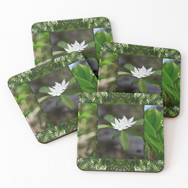 Item preview, Flowers on fern designed and sold by Jouko Lehto Photography.