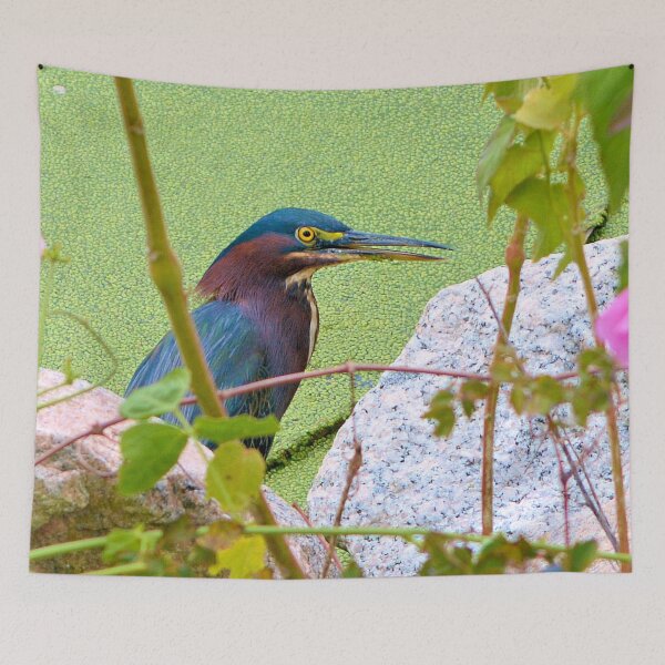 Item preview, Green Heron designed and sold by What I See by Dawne.