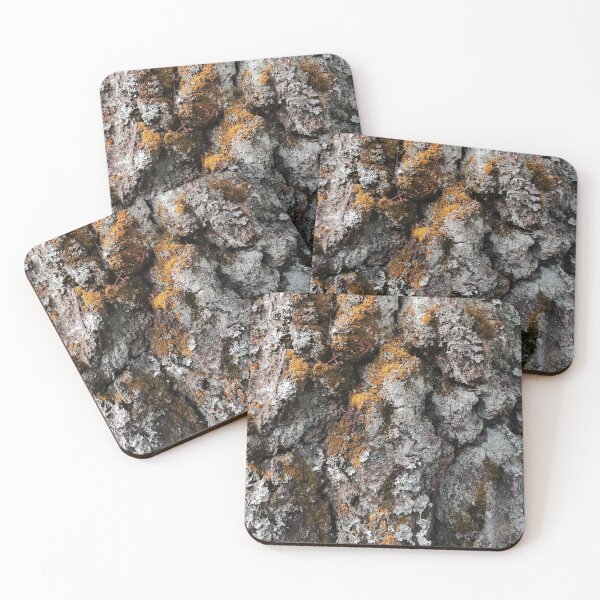 Item preview, Bark Covered With Moss Close Up designed and sold by EvelinePatterns.