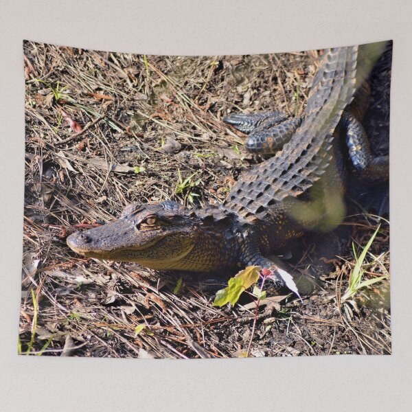 Item preview, George The Baby Gator designed and sold by What I See by Dawne.