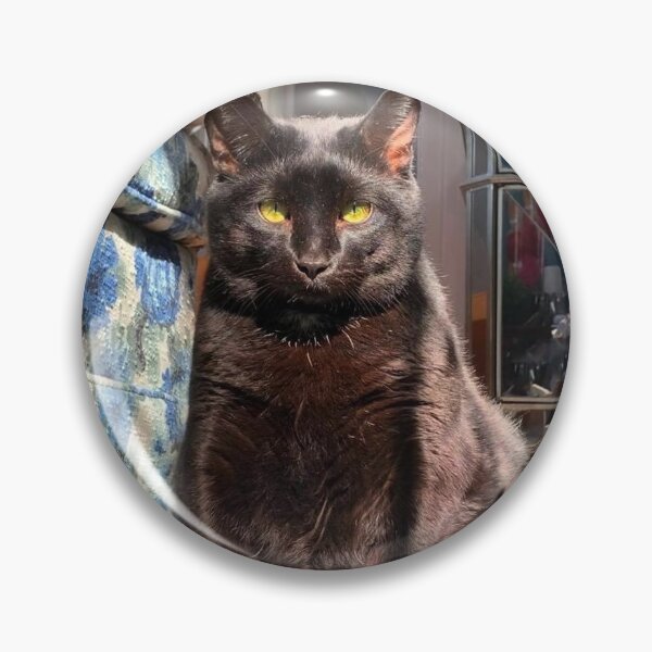 Item preview, Judging cat designed and sold by 7RBH.