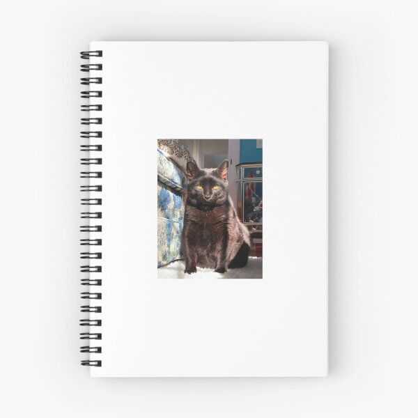 Item preview, Judging cat designed and sold by 7RBH.