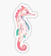 Seahorse Sticker