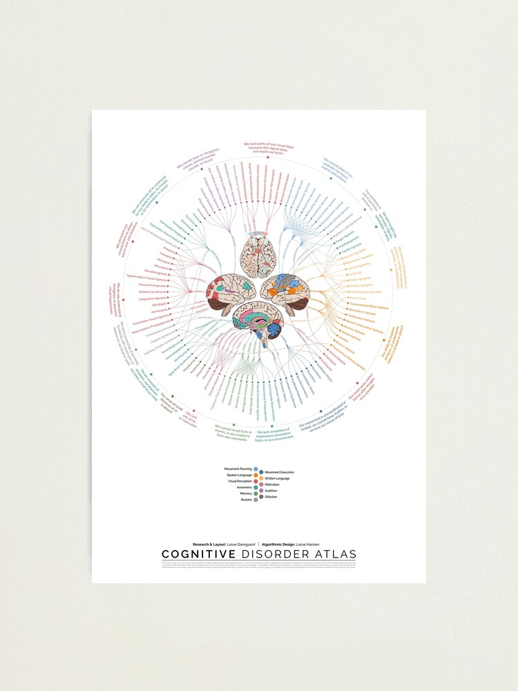 Thumbnail 1 of 3, Photographic Print, Cognitive Disorder Atlas - Summarized (Portrait) designed and sold by LasseDamgaard.