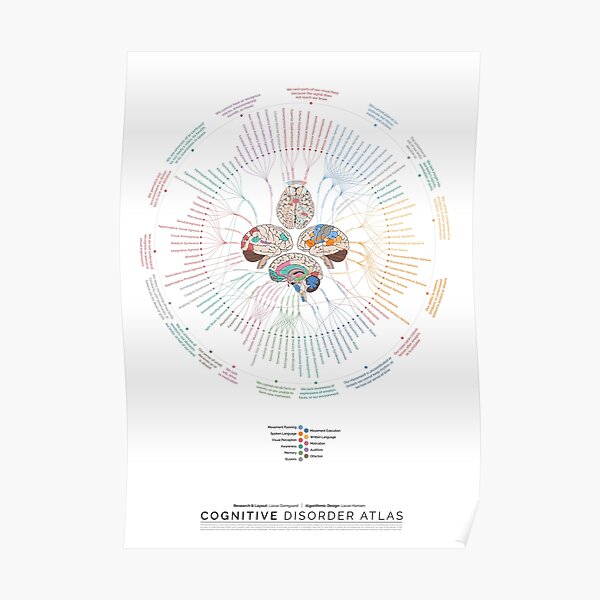 Cognitive Disorder Atlas - Summarized (Portrait) Poster