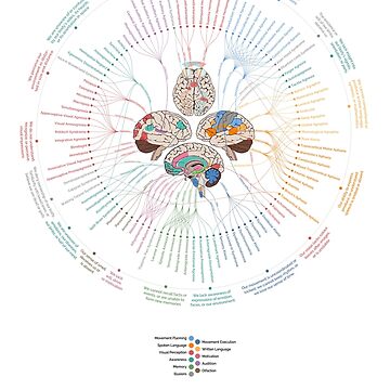Artwork thumbnail, Cognitive Disorder Atlas - Summarized (Portrait) by Lasse Damgaard