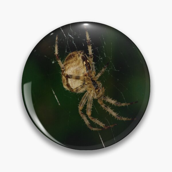 Item preview, Macro Photo of Spider designed and sold by paulgrimshire.
