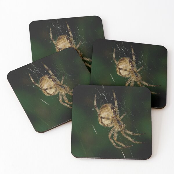 Item preview, Macro Photo of Spider designed and sold by paulgrimshire.