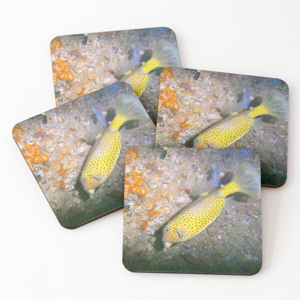 Item preview, Underwater Wild Life designed and sold by hassankhayal.