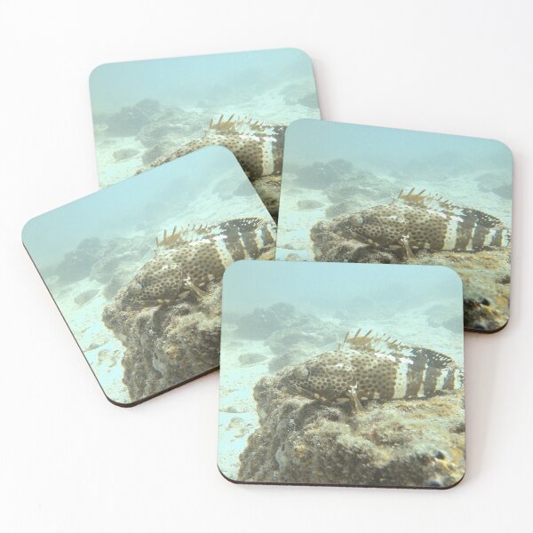 Item preview, Underwater Wild Life designed and sold by hassankhayal.