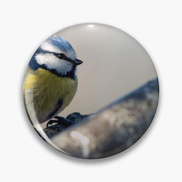 Item preview, Blue Tit (Cyanistes caeruleus) designed and sold by Chris Monks.