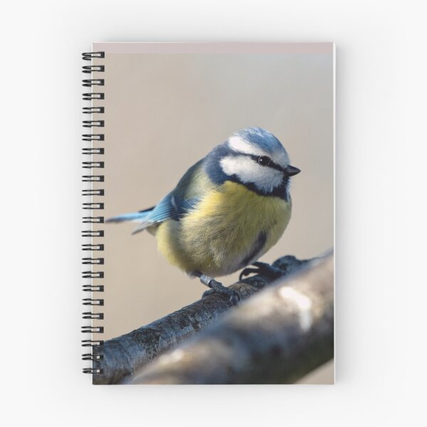 Item preview, Blue Tit (Cyanistes caeruleus) designed and sold by Chris Monks.