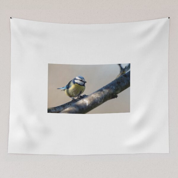 Item preview, Blue Tit (Cyanistes caeruleus) designed and sold by Chris Monks.