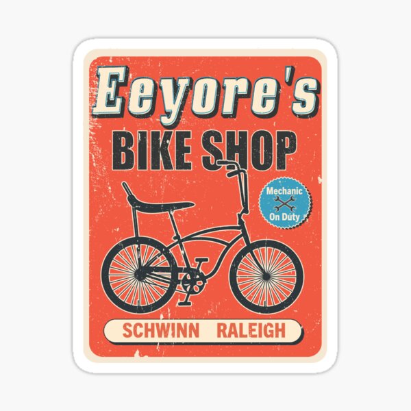 schwinn raleigh bike