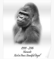 Ruhe in Frieden, Harambe Poster