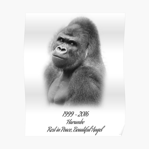 Rest in Peace, Harambe Poster