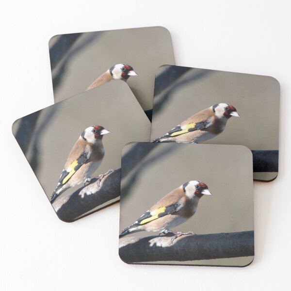 Item preview, Goldfinch (Carduelis carduelis) designed and sold by Chris Monks.