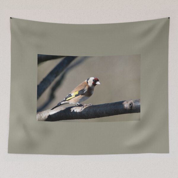 Item preview, Goldfinch (Carduelis carduelis) designed and sold by Chris Monks.
