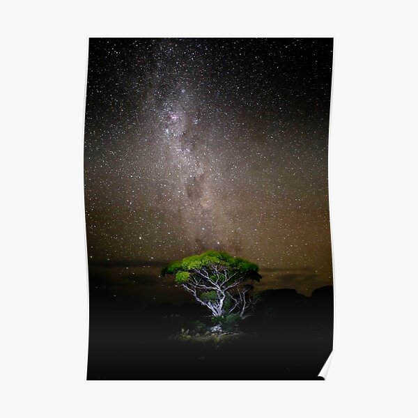 Heaven and Earth Poster