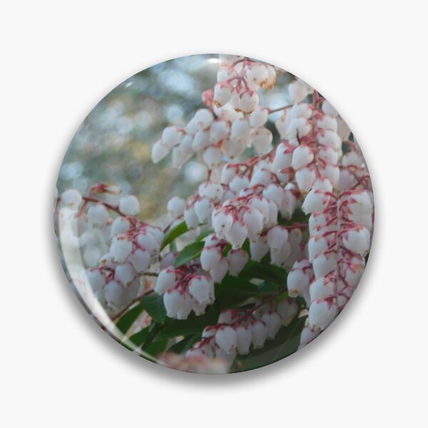 Item preview, Valley Rose designed and sold by Keystone-photos.