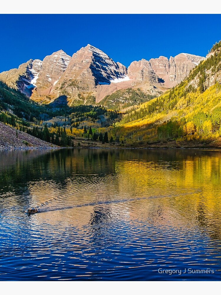 Maroon Bells Ripples - A Day with the ducks   by nikongreg