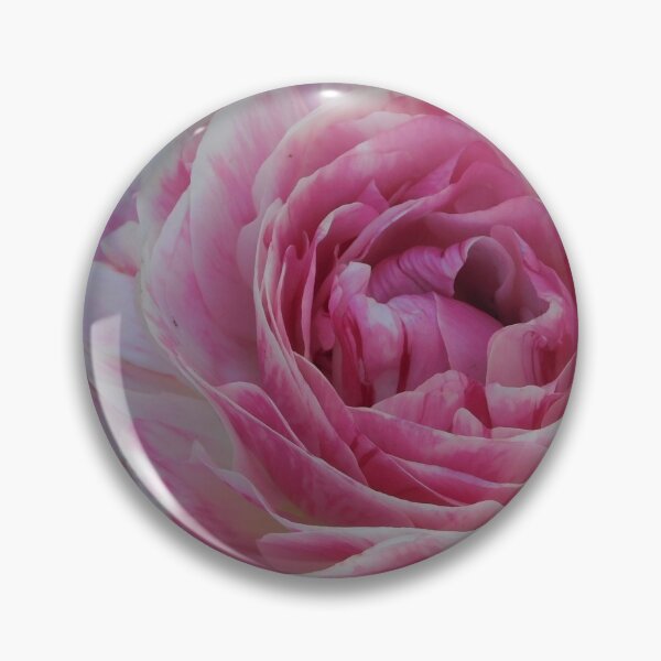 Item preview, The Ranunculus designed and sold by Keystone-photos.