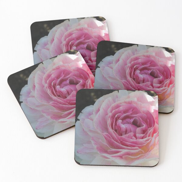 Item preview, The Ranunculus designed and sold by Keystone-photos.