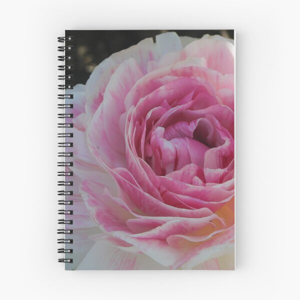 Item preview, The Ranunculus designed and sold by Keystone-photos.