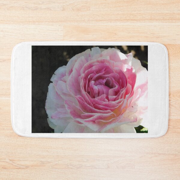 Item preview, The Ranunculus designed and sold by Keystone-photos.