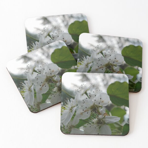 Item preview, Pear Tree in Bloom designed and sold by Keystone-photos.