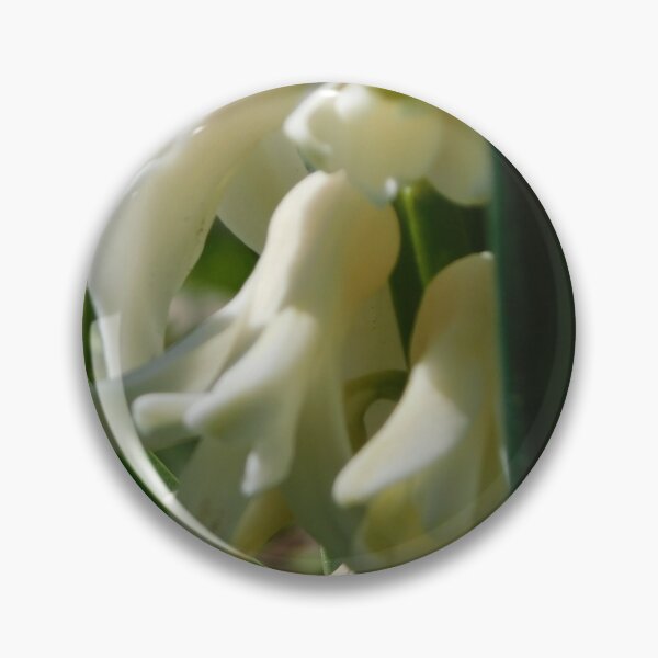 Item preview, Easter bloom of the Hyacinth designed and sold by Keystone-photos.