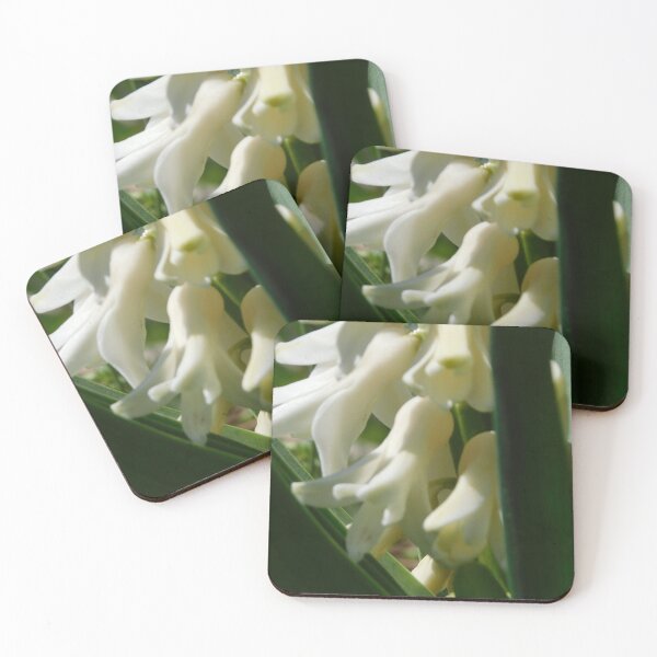 Item preview, Easter bloom of the Hyacinth designed and sold by Keystone-photos.