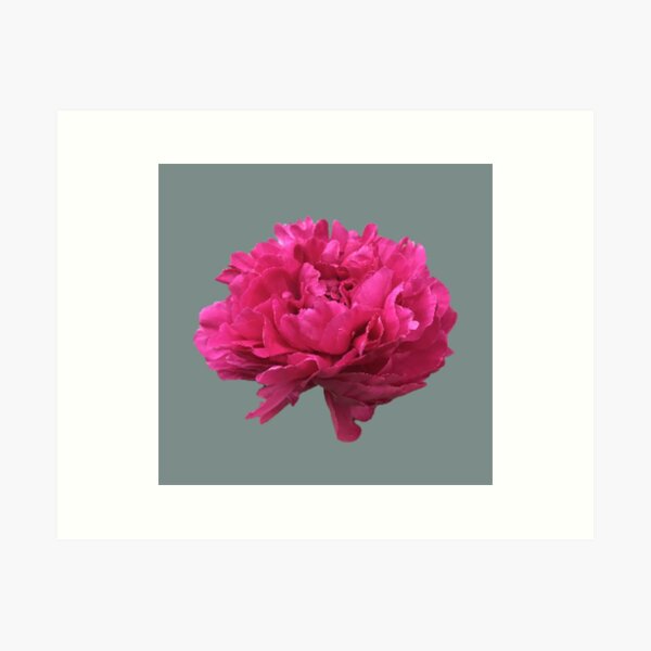 Item preview, Large Hot Pink Peony  designed and sold by InalterataArt.