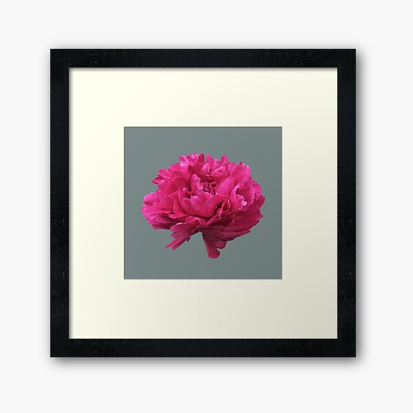 Item preview, Large Hot Pink Peony  designed and sold by InalterataArt.