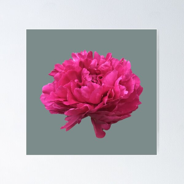 Item preview, Large Hot Pink Peony  designed and sold by InalterataArt.