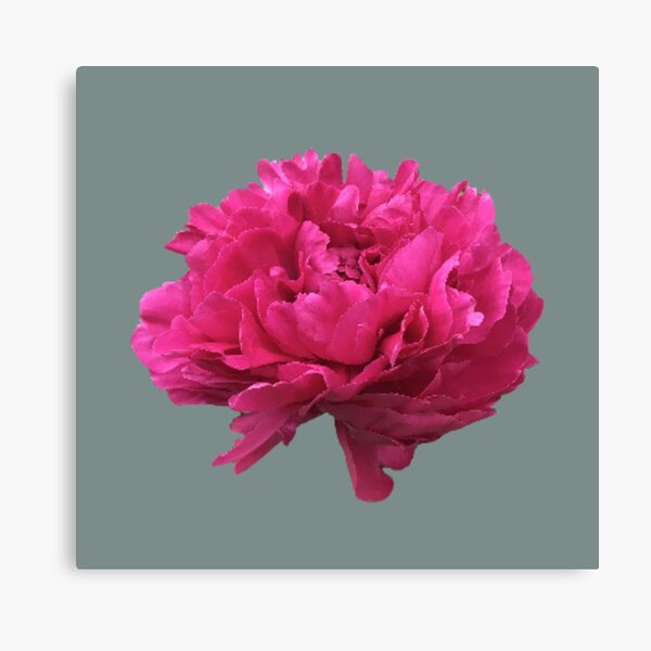 Item preview, Large Hot Pink Peony  designed and sold by InalterataArt.