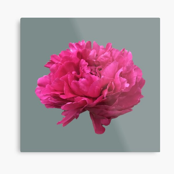 Item preview, Large Hot Pink Peony  designed and sold by InalterataArt.