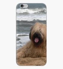 Miss Iggy #2 iPhone Case