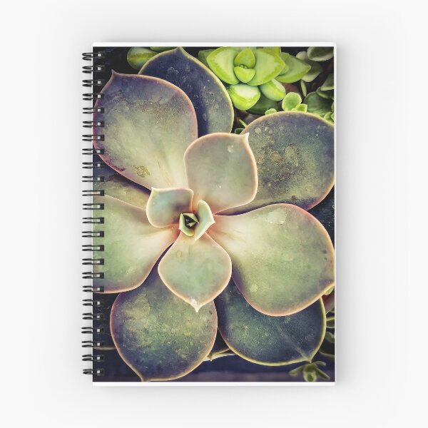 Item preview, Succulents designed and sold by MBNerd2003.